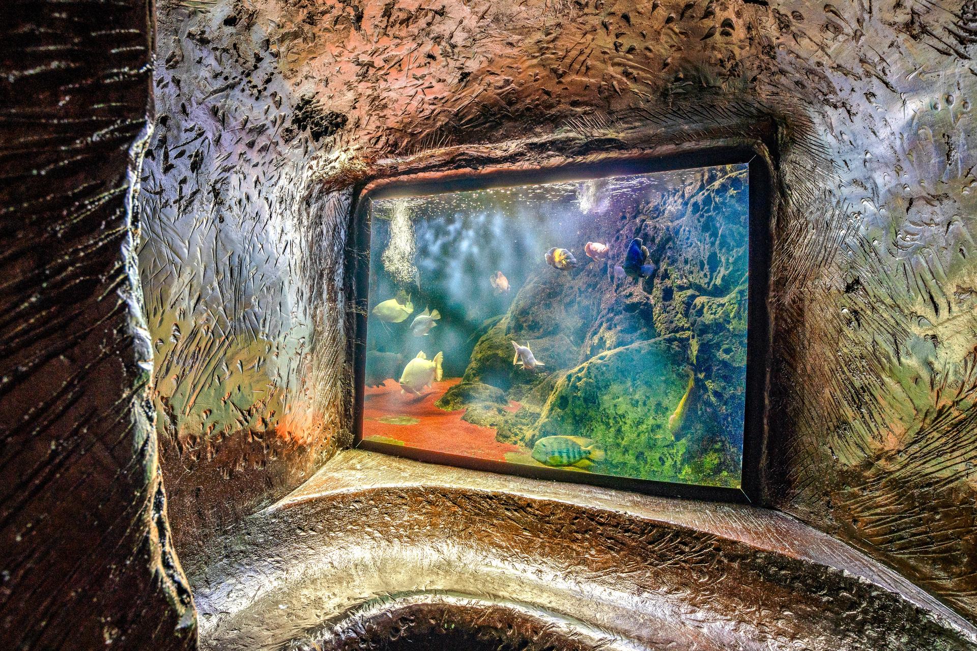 Stunning built-in aquarium